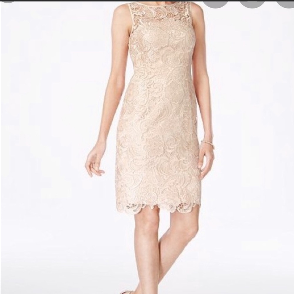 Cache lace sheath dress size 2